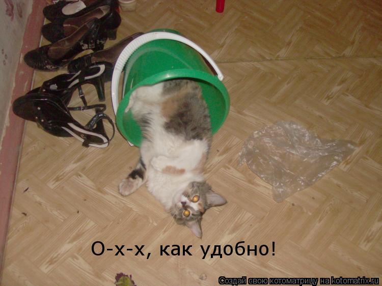 О-х-х, как удобно!... Котоматрица: О-х-х, как удобно!