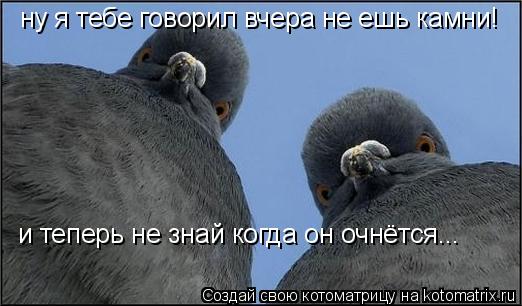 и теперь не знай когда он очнётся... ну я тебе говорил вчера не ешь камни!... Котоматрица: и теперь не знай когда он очнётся... ну я тебе говорил вчера не ешь камни!