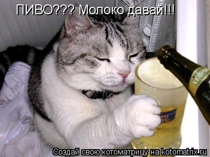 ПИВО??? Молоко давай!!!... Котоматрица: ПИВО??? Молоко давай!!!