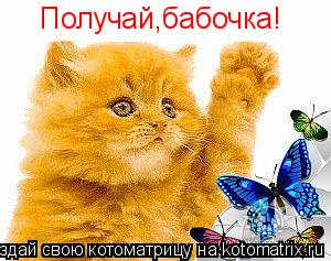 Котоматрица: Получай,бабочка!