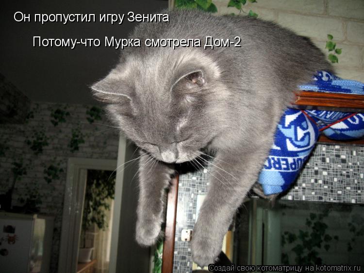 Он пропустил игру Зенита Потому-что Мурка смотрела Дом-2... Котоматрица: Он пропустил игру Зенита Потому-что Мурка смотрела Дом-2