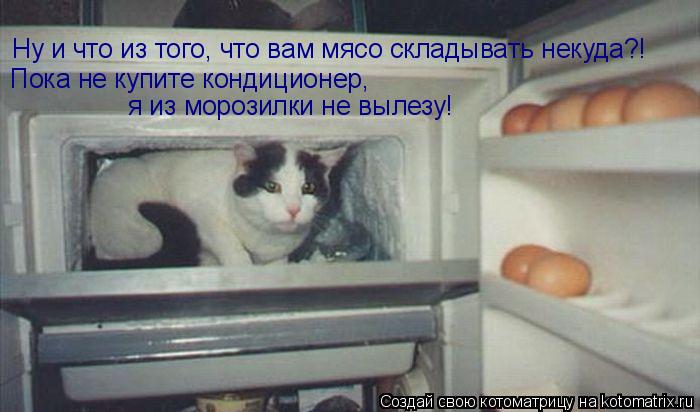 Ну и что из того, что вам мясо складывать некуда?! Пока не купите кондиционер, я из морозилки не вы... Котоматрица: Ну и что из того, что вам мясо складывать некуда?! Пока не купите кондиционер, я из морозилки не вылезу!