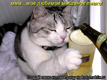 ммм...мое любимое мышиное пивко!... Котоматрица: ммм...мое любимое мышиное пивко!