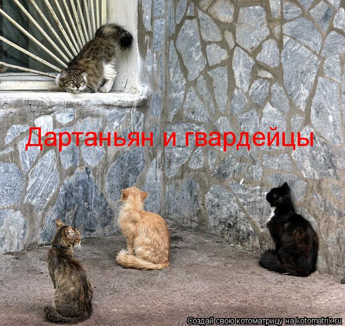 Дартаньян и гвардейцы... Котоматрица: Дартаньян и гвардейцы