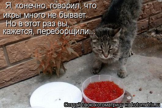 Я, конечно, говорил, что икры много не бывает. Но в этот раз вы, кажется, переборщили...... Котоматрица: Я, конечно, говорил, что икры много не бывает. Но в этот раз вы, кажется, переборщили...