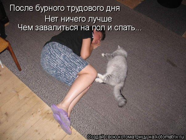 После бурного трудового дня Нет ничего лучше Чем завалиться на пол и спать...... Котоматрица: После бурного трудового дня Нет ничего лучше Чем завалиться на пол и спать...