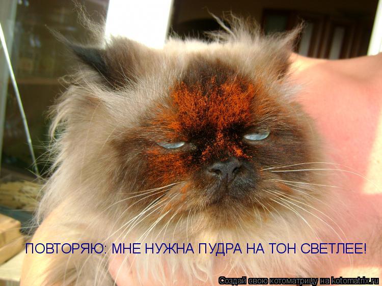 ПОВТОРЯЮ: МНЕ НУЖНА ПУДРА НА ТОН СВЕТЛЕЕ!... Котоматрица: ПОВТОРЯЮ: МНЕ НУЖНА ПУДРА НА ТОН СВЕТЛЕЕ!