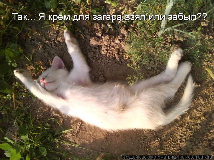 Так... Я крем для загара взял или забыл??... Котоматрица: Так... Я крем для загара взял или забыл??