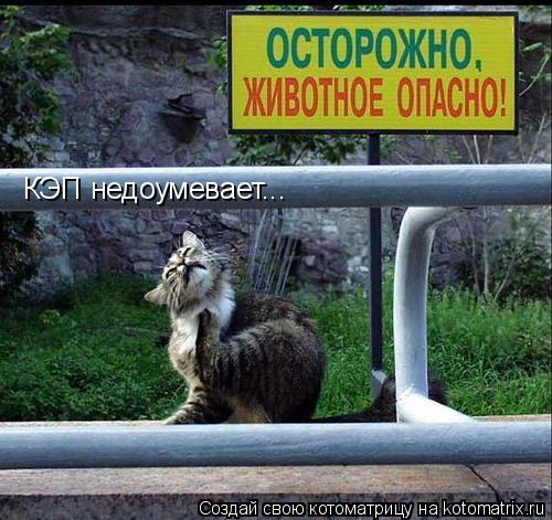 КЭП недоумевает...... Котоматрица: КЭП недоумевает...