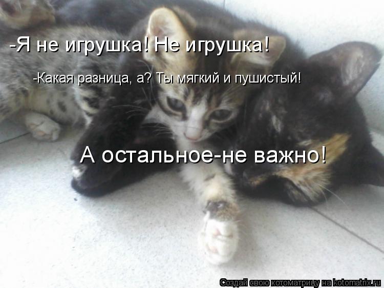 -Я не игрушка! Не игрушка! -Какая разница, а? Ты мягкий и пушистый! А остальное-не важно!... Котоматрица: -Я не игрушка! Не игрушка! -Какая разница, а? Ты мягкий и пушистый! А остальное-не важно!