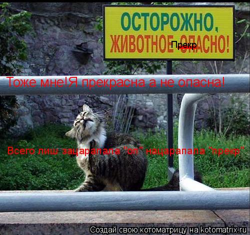 _ Прекр Тоже мне!Я прекрасна а не опасна! Всего лиш зацарапала "оп" нацарапала "прекр"... Котоматрица: _ Прекр Тоже мне!Я прекрасна а не опасна! Всего лиш зацарапала "оп" нацарапала "прекр"
