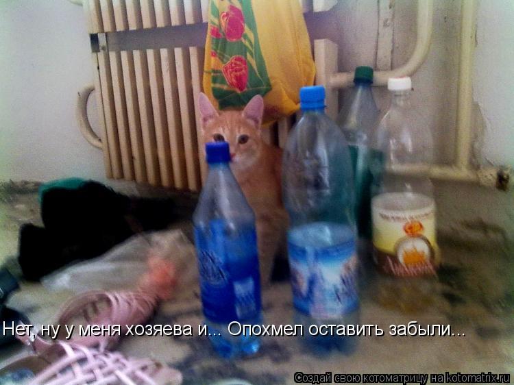 Нет, ну у меня хозяева и... Опохмел оставить забыли...... Котоматрица: Нет, ну у меня хозяева и... Опохмел оставить забыли...