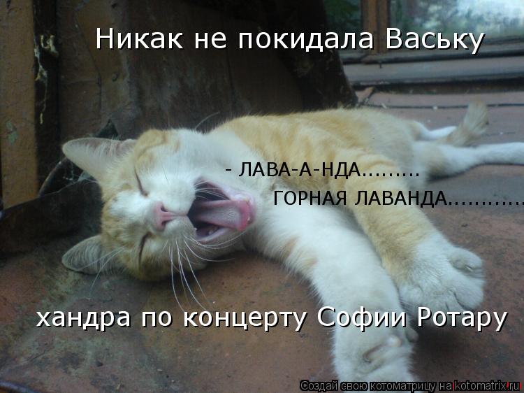 - ЛАВА-А-НДА......... ГОРНАЯ ЛАВАНДА............ Никак не покидала Ваську хандра по концерту Софии Ро... Котоматрица: - ЛАВА-А-НДА......... ГОРНАЯ ЛАВАНДА............ Никак не покидала Ваську хандра по концерту Софии Ротару