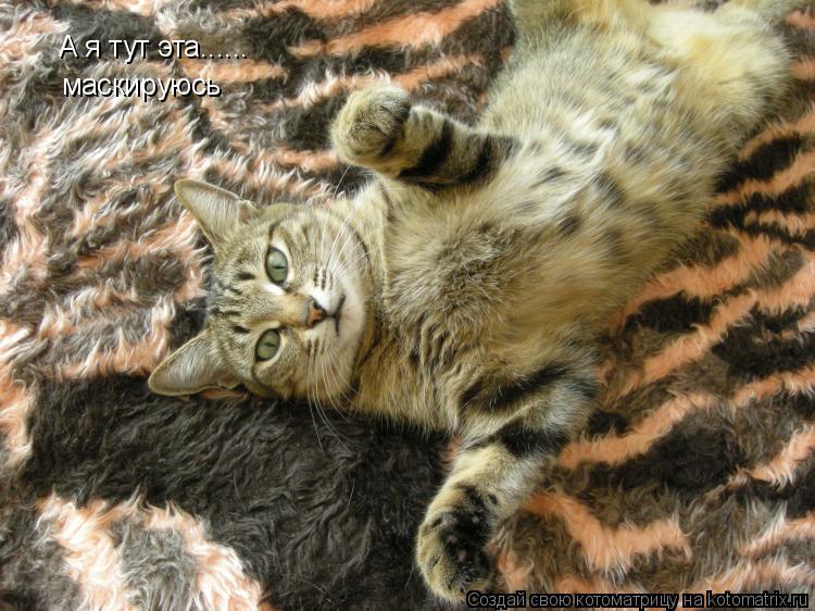 А я тут эта...... А я тут эта...... маскируюсь... Котоматрица: А я тут эта...... А я тут эта...... маскируюсь