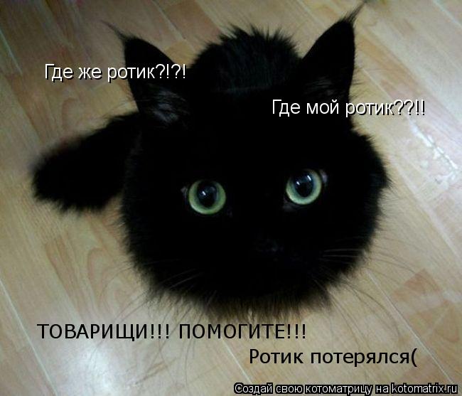 Где же ротик?!?! Где мой ротик??!! ТОВАРИЩИ!!! ПОМОГИТЕ!!! Ротик потерялся(... Котоматрица: Где же ротик?!?! Где мой ротик??!! ТОВАРИЩИ!!! ПОМОГИТЕ!!! Ротик потерялся(
