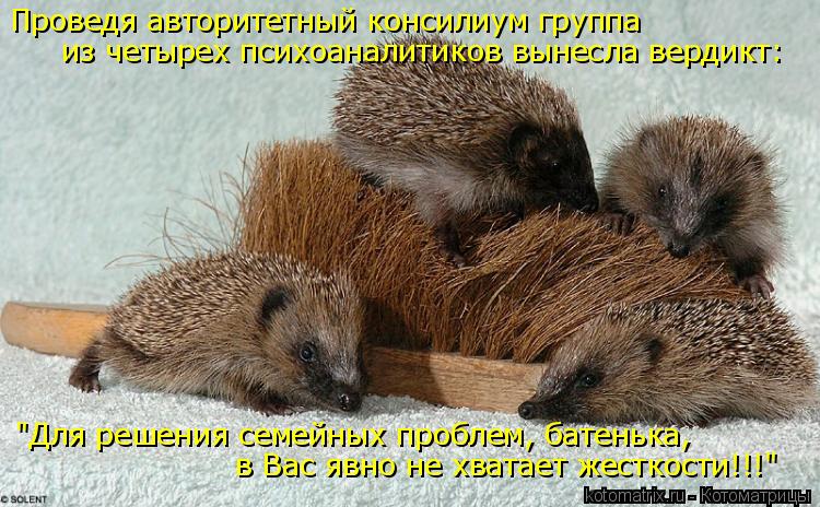 Проведя авторитетный консилиум группа из четырех психоаналитиков вынесла вердикт: "Для решения семейн... Котоматрица: Проведя авторитетный консилиум группа из четырех психоаналитиков вынесла вердикт: "Для решения семейных проблем, батенька, в Вас явно не х