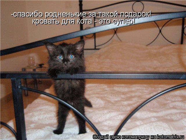 -спасибо родненькие за такой подарок! кровать для кота - это супер!... Котоматрица: -спасибо родненькие за такой подарок! кровать для кота - это супер!