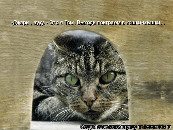 -Джери , аууу. - Это я Том. Выходи поиграем в кошки-мышки...... Котоматрица: -Джери , аууу. - Это я Том. Выходи поиграем в кошки-мышки...
