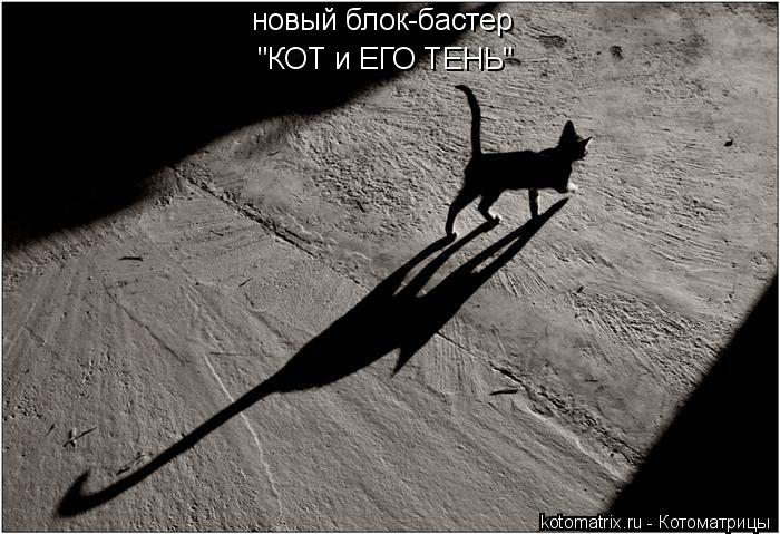 новый блок-бастер "КОТ и ЕГО ТЕНЬ"... Котоматрица: новый блок-бастер "КОТ и ЕГО ТЕНЬ"