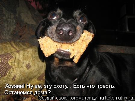 Хозяин! Ну её, эту охоту... Есть что поесть. Останемся дома?... Котоматрица: Хозяин! Ну её, эту охоту... Есть что поесть. Останемся дома?