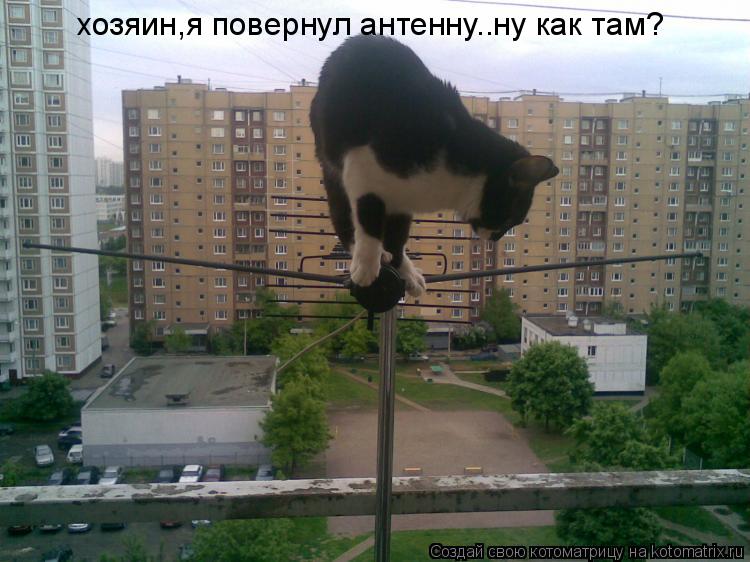 хозяин,я повернул антенну..ну как там?... Котоматрица: хозяин,я повернул антенну..ну как там?