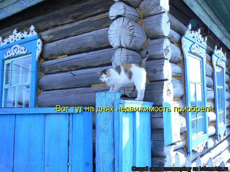 -Вот тут на днях недвижимость приобрел!... Котоматрица: -Вот тут на днях недвижимость приобрел!
