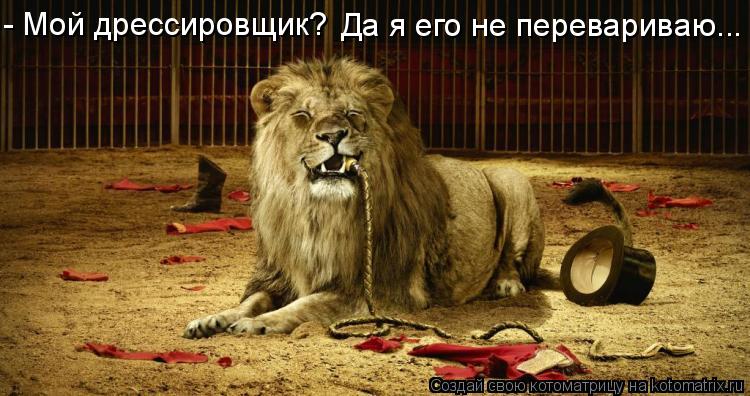 - Мой дрессировщик? Да я его не перевариваю...... Котоматрица: - Мой дрессировщик? Да я его не перевариваю...
