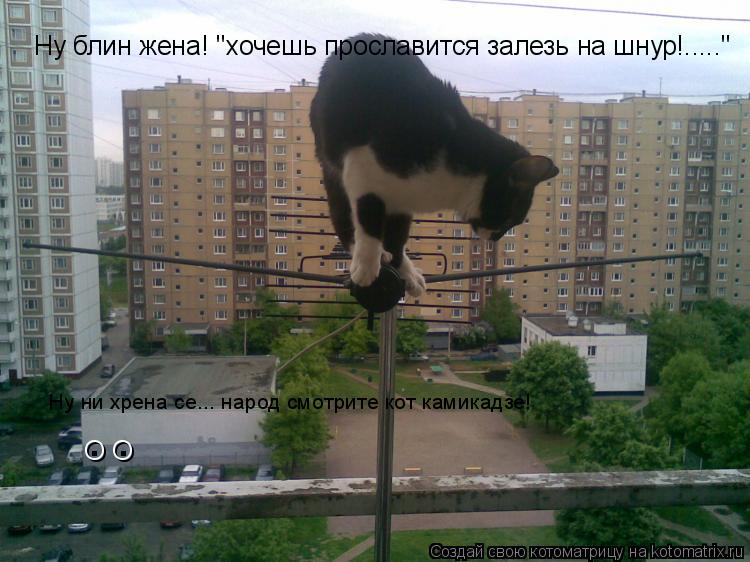 О О . . Ну ни хрена се... народ смотрите кот камикадзе! Ну блин жена! "хочешь прославится залезь на ... Котоматрица: О О . . Ну ни хрена се... народ смотрите кот камикадзе! Ну блин жена! "хочешь прославится залезь на шнур!....."