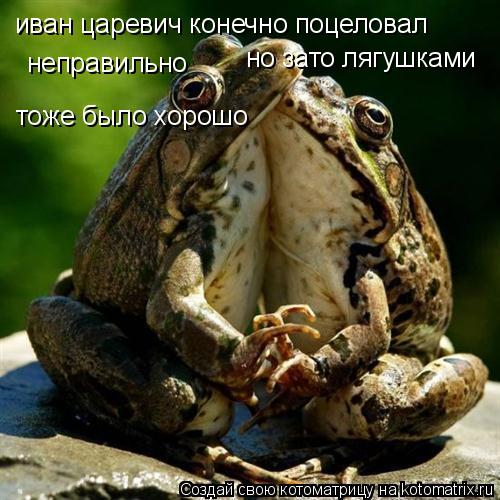 иван царевич конечно поцеловал неправильно но зато лягушками тоже было хорошо... Котоматрица: иван царевич конечно поцеловал неправильно но зато лягушками тоже было хорошо