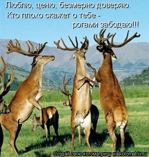 Кто плохо скажет о тебе - рогами забодаю!!! Люблю, ценю, безмерно доверяю.... Котоматрица: Кто плохо скажет о тебе - рогами забодаю!!! Люблю, ценю, безмерно доверяю.