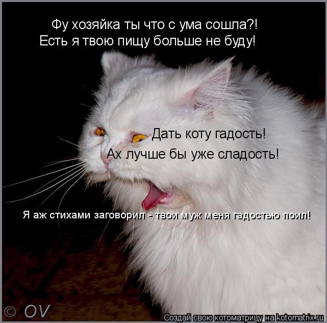 Фу хозяйка ты что с ума сошла?! Есть я твою пищу больше не буду! Дать коту гадость! Ах лучше бы уже ... Котоматрица: Фу хозяйка ты что с ума сошла?! Есть я твою пищу больше не буду! Дать коту гадость! Ах лучше бы уже сладость! Я аж стихами заговорил - твои муж