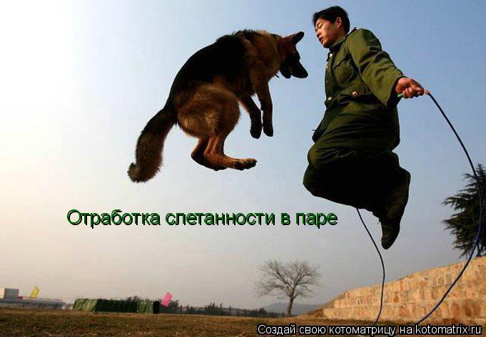 Отработка слетанности в паре... Котоматрица: Отработка слетанности в паре