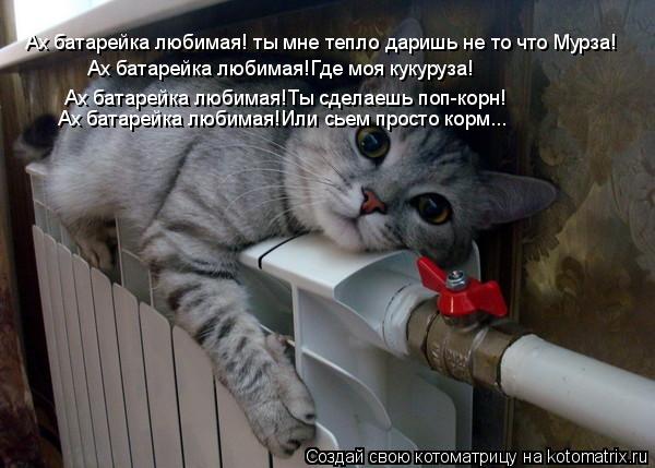 Ах батарейка любимая! ты мне тепло даришь не то что Мурза! Ах батарейка любимая!Где моя кукуруза! А... Котоматрица: Ах батарейка любимая! ты мне тепло даришь не то что Мурза! Ах батарейка любимая!Где моя кукуруза! Ах батарейка любимая!Ты сделаешь поп-корн!