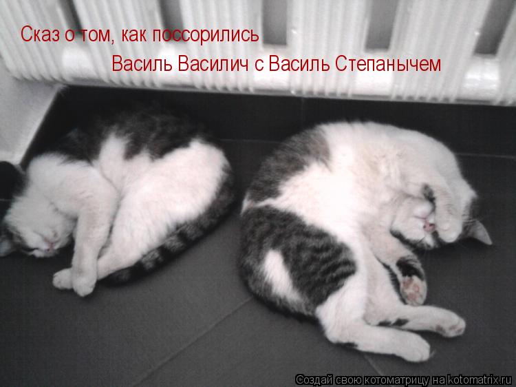 Сказ о том, как поссорились Василь Василич с Василь Степанычем... Котоматрица: Сказ о том, как поссорились Василь Василич с Василь Степанычем