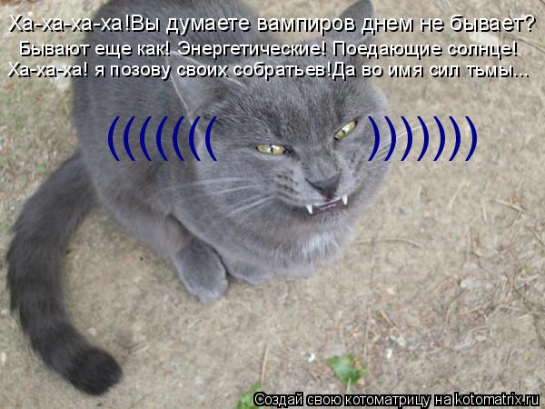 Ха-ха-ха-ха!Вы думаете вампиров днем не бывает? Бывают еще как! Энергетические! Поедающие солнце! Х... Котоматрица: Ха-ха-ха-ха!Вы думаете вампиров днем не бывает? Бывают еще как! Энергетические! Поедающие солнце! Ха-ха-ха! я позову своих собратьев!Да во им