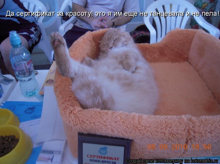 Да сертификат за красоту! это я им еще не танцевала и не пела!... Котоматрица: Да сертификат за красоту! это я им еще не танцевала и не пела!