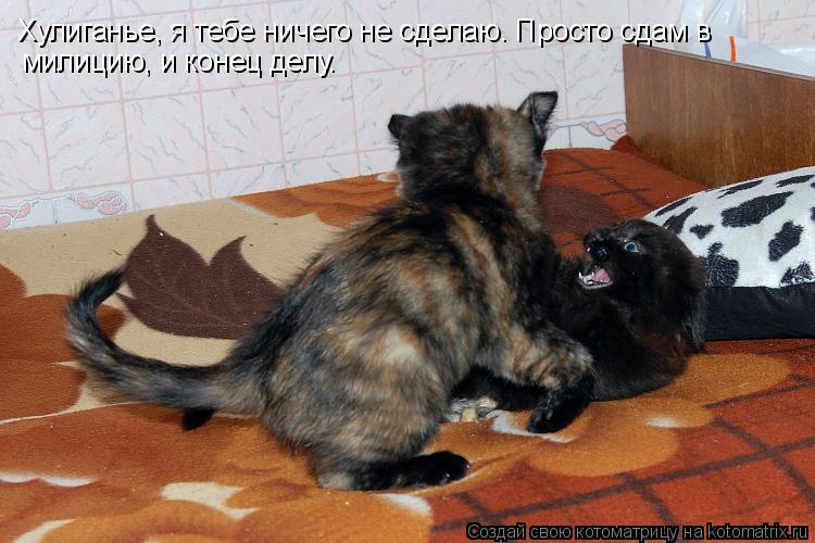 Хулиганье, я тебе ничего не сделаю. Просто сдам в милицию, и конец делу.... Котоматрица: Хулиганье, я тебе ничего не сделаю. Просто сдам в милицию, и конец делу.