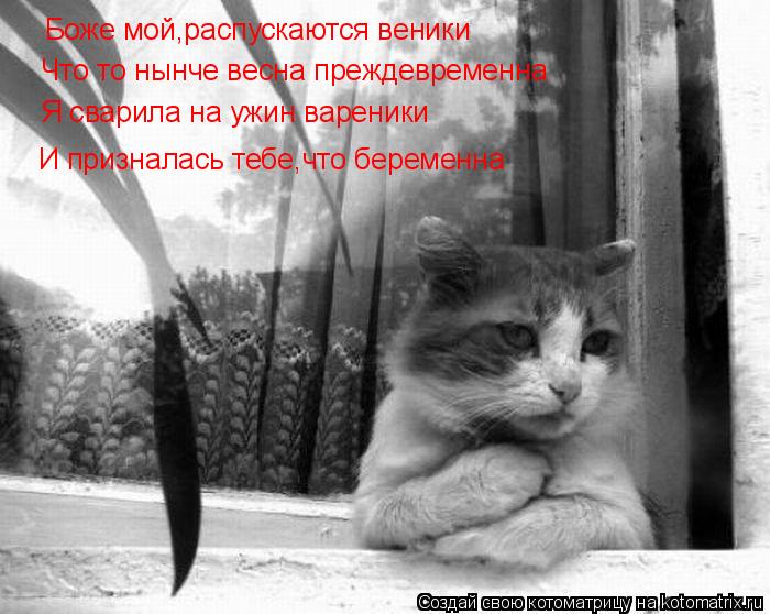 Боже мой,распускаются веники Боже мой,распускаются веники Что то нынче весна преждевременна Я сварила... Котоматрица: Боже мой,распускаются веники Боже мой,распускаются веники Что то нынче весна преждевременна Я сварила на ужин вареники И призналась тебе,ч