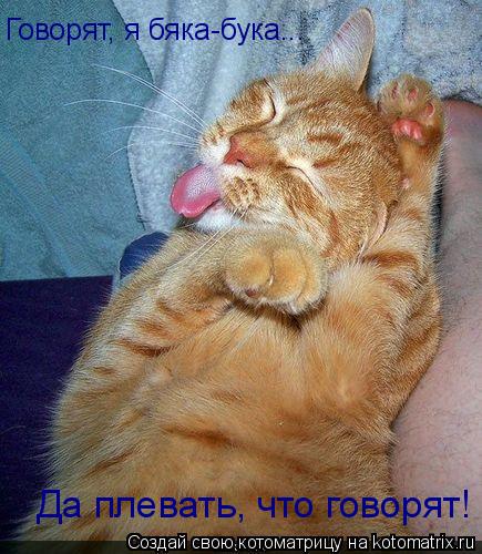 Говорят, я бяка-бука... Да плевать, что говорят!... Котоматрица: Говорят, я бяка-бука... Да плевать, что говорят!