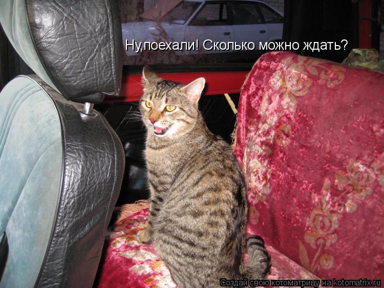 Ну,поехали! Сколько можно ждать?... Котоматрица: Ну,поехали! Сколько можно ждать?