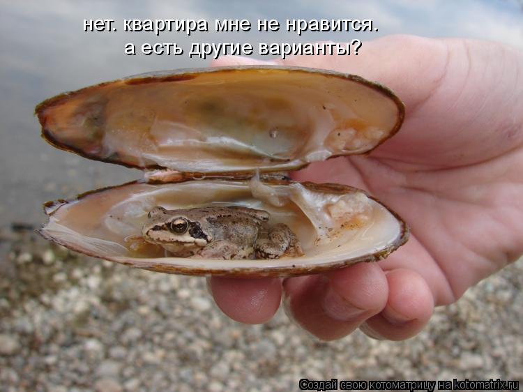 нет. квартира мне не нравится. а есть другие варианты? нет. квартира мне не нравится. а есть другие ... Котоматрица: нет. квартира мне не нравится. а есть другие варианты? нет. квартира мне не нравится. а есть другие варианты?