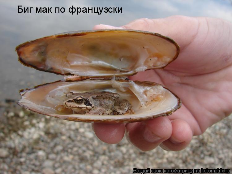 Биг мак по французски... Котоматрица: Биг мак по французски