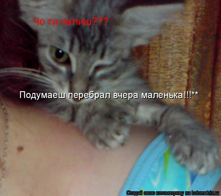 Чо ти палиш??? Подумаеш перебрал вчера маленька!!!**... Котоматрица: Чо ти палиш??? Подумаеш перебрал вчера маленька!!!**