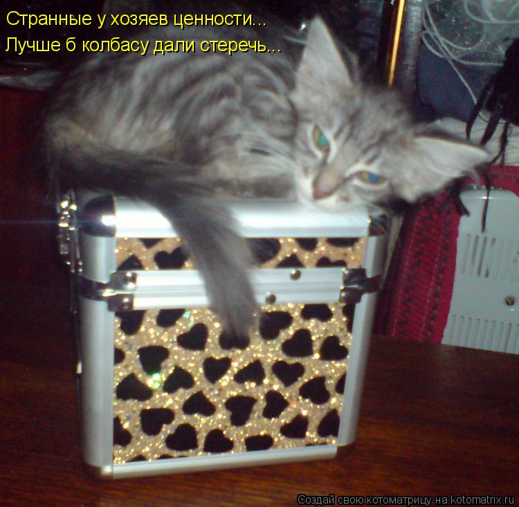 Странные у хозяев ценности... Лучше б колбасу дали стеречь...... Котоматрица: Странные у хозяев ценности... Лучше б колбасу дали стеречь...