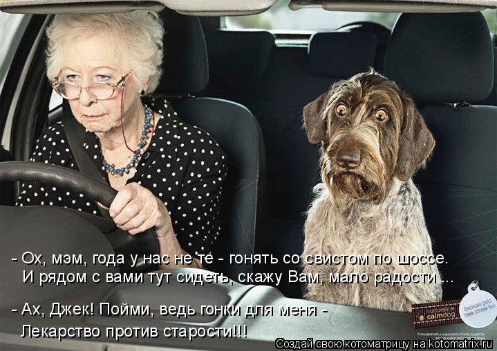 - Ох, мэм, года у нас не те - гонять со свистом по шоссе. И рядом с вами тут сидеть, скажу Вам, мало ... Котоматрица: - Ох, мэм, года у нас не те - гонять со свистом по шоссе. И рядом с вами тут сидеть, скажу Вам, мало радости ... - Ах, Джек! Пойми, ведь гонки для мен