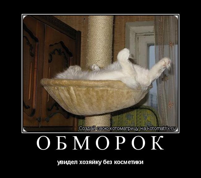 обморок увидел хозяйку без косметики... Котоматрица: обморок увидел хозяйку без косметики