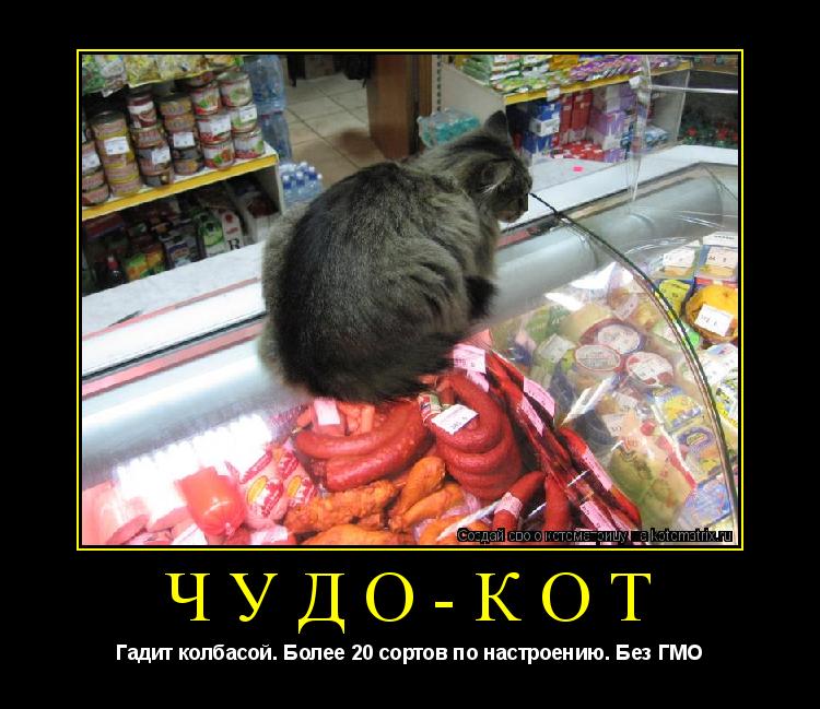 ЧУДО-КОТ Гадит колбасой. Более 20 сортов по настроению. Без ГМО... Котоматрица: ЧУДО-КОТ Гадит колбасой. Более 20 сортов по настроению. Без ГМО