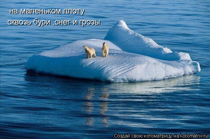 на маленьком плоту сквозь бури ,снег и грозы... Котоматрица: на маленьком плоту сквозь бури ,снег и грозы
