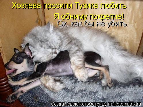 Хозяева просили Тузика любить Я обниму покрепче! Ох, как бы не убить...... Котоматрица: Хозяева просили Тузика любить Я обниму покрепче! Ох, как бы не убить...