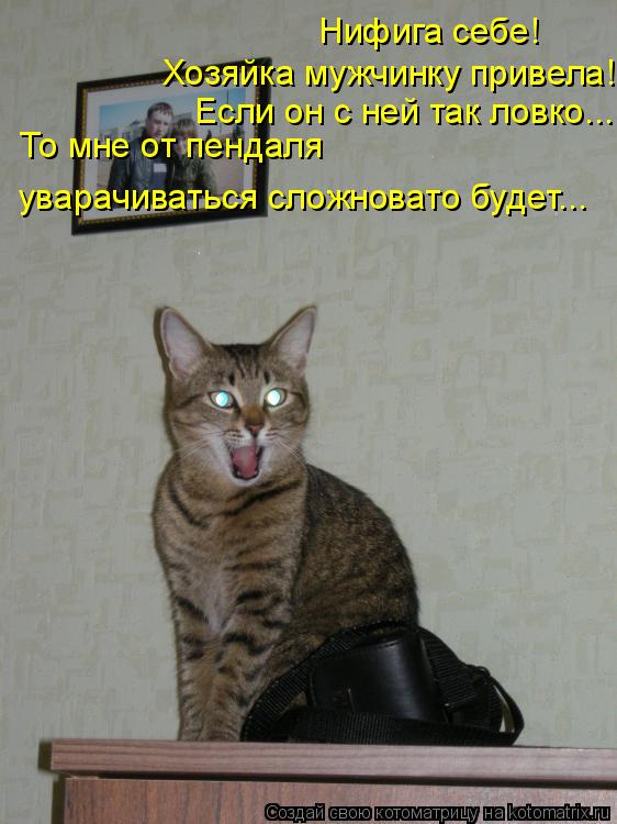 Нифига себе! Хозяйка мужчинку привела! Если он с ней так ловко... То мне от пендаля уварачиваться сл... Котоматрица: Нифига себе! Хозяйка мужчинку привела! Если он с ней так ловко... То мне от пендаля уварачиваться сложновато будет...